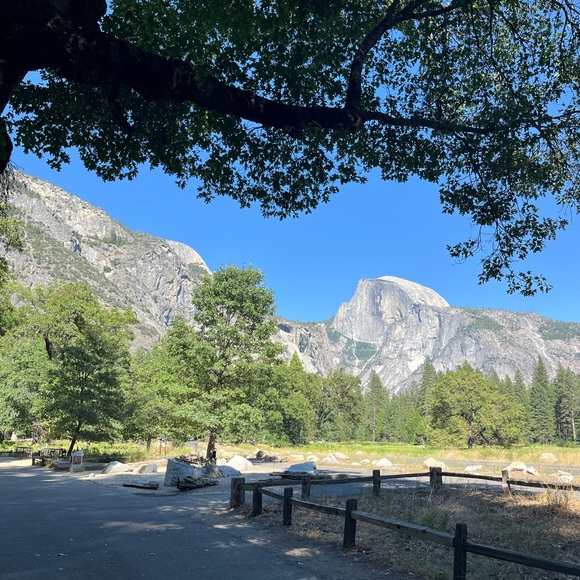 Meet your Posher, Morgan - Picture 8 of 9